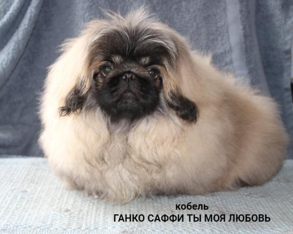 Прикрепленное изображение: т1.JPG